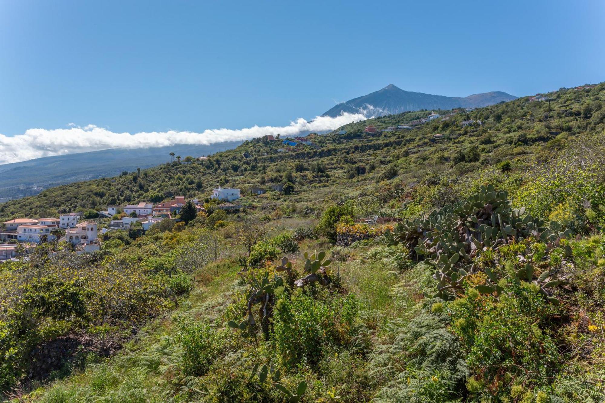 Las Casas Del Bisa Garachico  Esterno foto